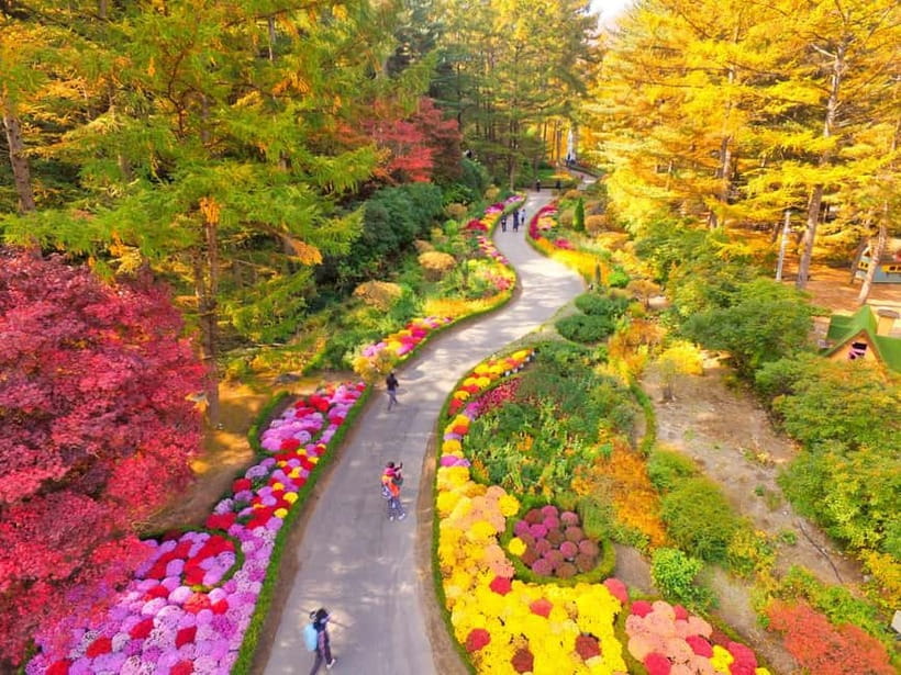 Seoul: Pocheon Art Valley, Garden and Fruit Picking Day Tour - What the 11-hour schedule feels like