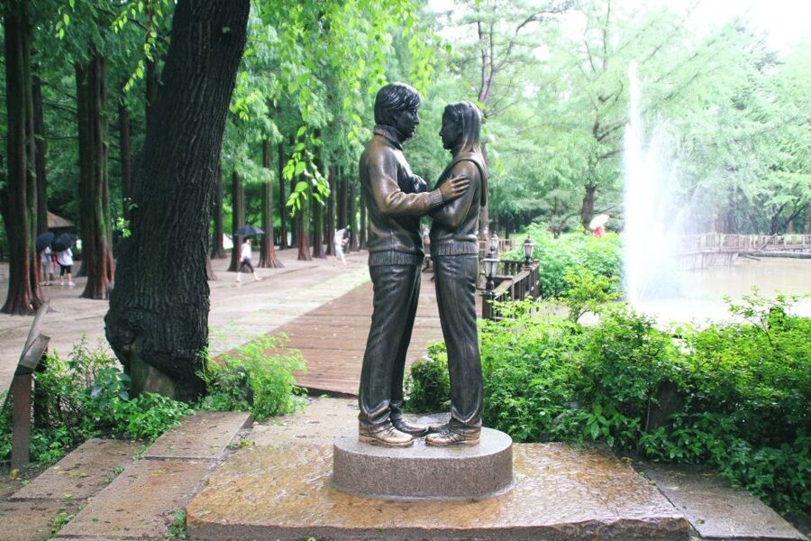 Seoul: Private Customizable Tour to Nami Island and More - Why Nami Island makes a strong day trip from Seoul