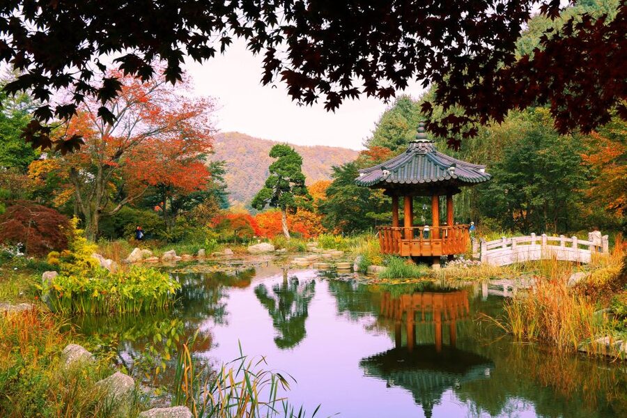 Seoul: Private Customizable Tour to Nami Island and More - Who will enjoy this tour most