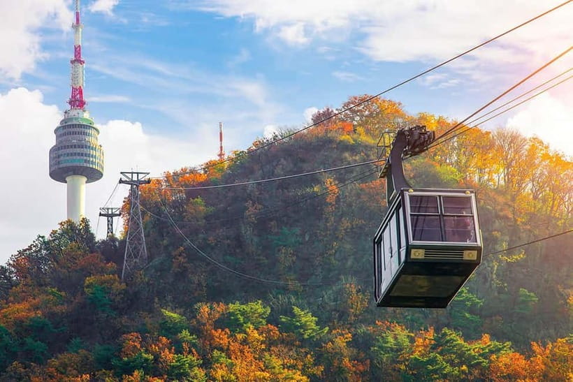 Seoul: Private Luxury Vehicle Tour - English/Spanish guiding - Language help, medical interpretation, and VIP service