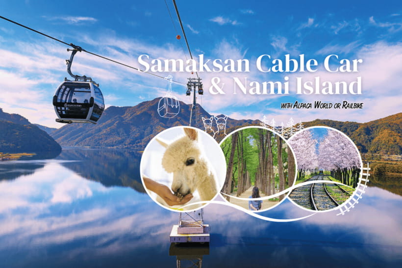 Seoul: Samaksan Cable Car & Nami with Alpaca World/Railbike - Key points to know before booking
