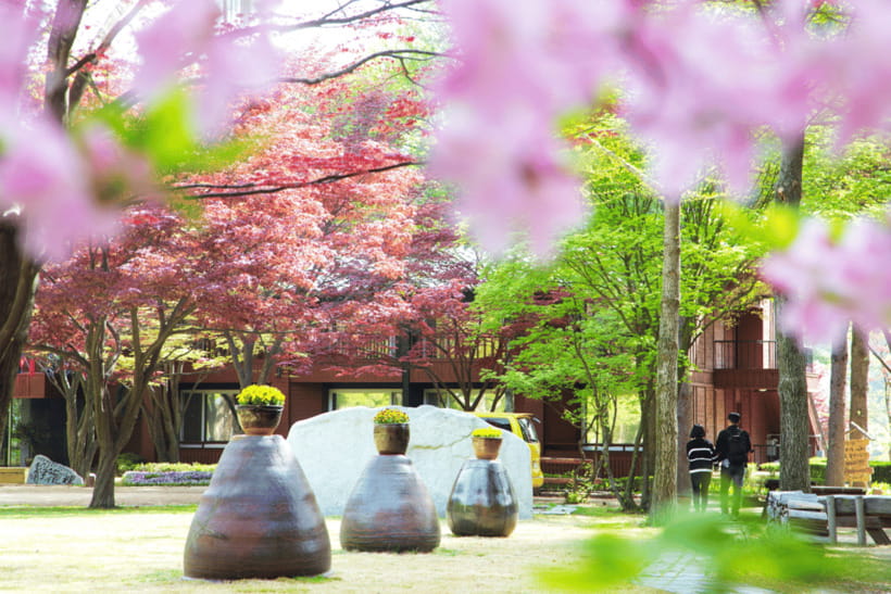 Seoul: Samaksan Cable Car & Nami with Alpaca World/Railbike - Why this day trip works from Seoul