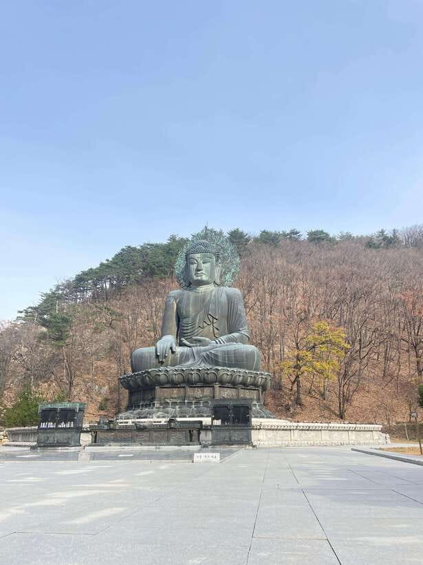 Seoul: Seorak Mountain, East DMZ, and Sokcho Tour - Sokcho Central Market and a useful lunch stop