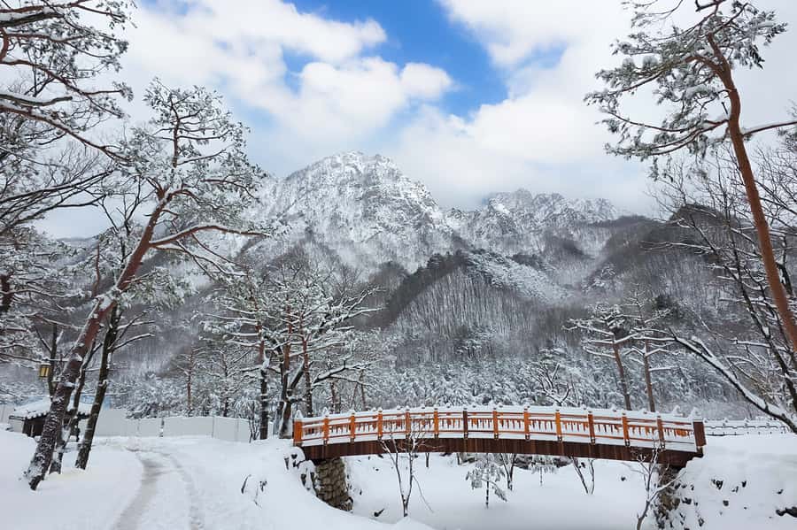 Seoul: Seorak Mountain+Nami Island+Eobi Ice Valley Tour - Key points to know before booking
