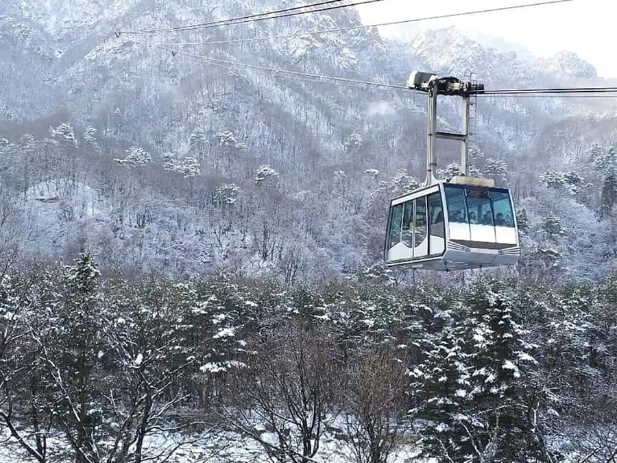 Seoul: Seorak Mountain+Nami Island+Eobi Ice Valley Tour - Why this winter day trip works