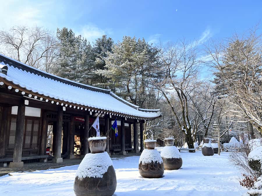Seoul: Seorak Mountain+Nami Island+Eobi Ice Valley Tour - Eobi Ice Valley: the day’s most weather-dependent stop