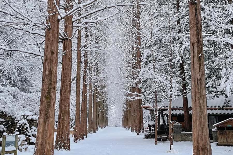 Seoul: Seorak Mountain+Nami Island+Eobi Ice Valley Tour - The tradeoff: coverage instead of a slow visit