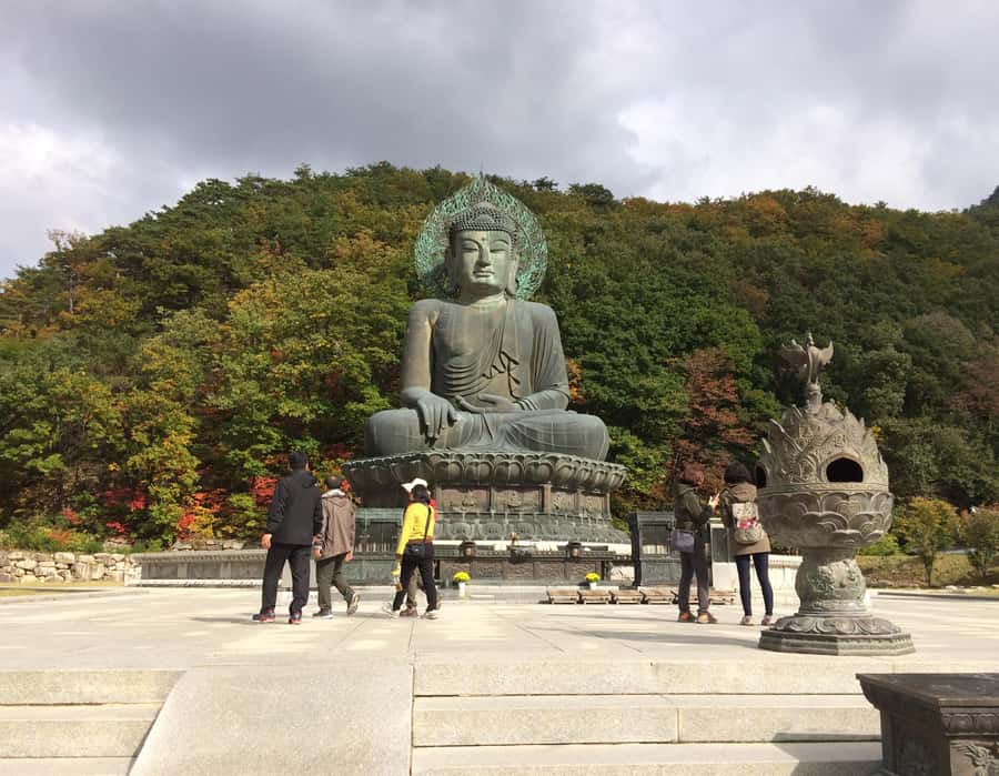 Seoul: Seorak Mountain+Nami Island+Eobi Ice Valley Tour - Who will get the most from this tour