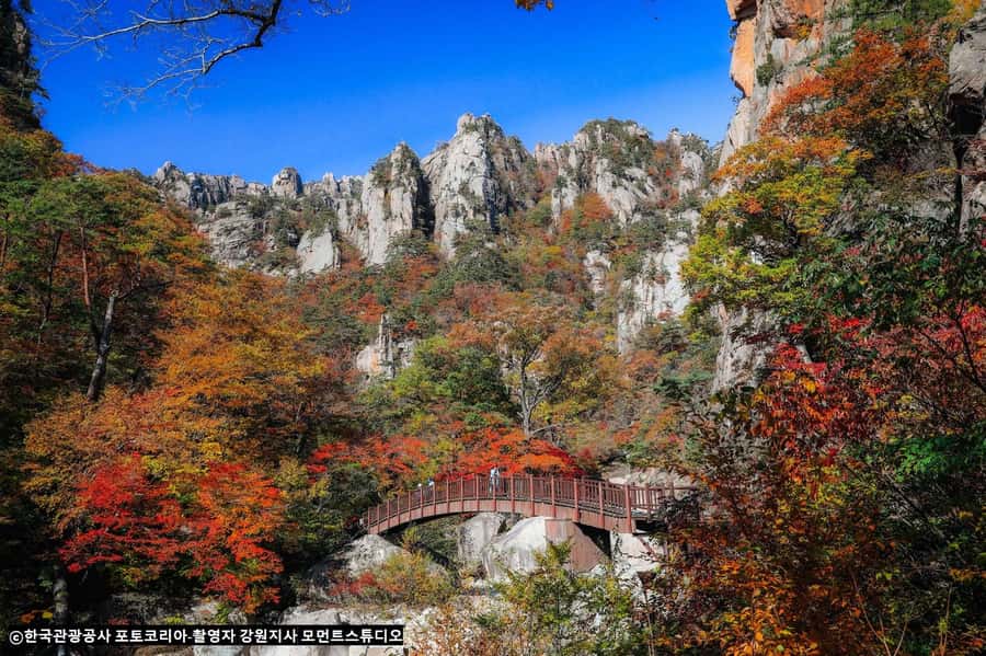 Seoul: Seorak Mountain+Nami Island+Eobi Ice Valley Tour - Booking, weather, and practical value
