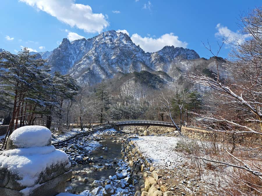 Seoul: Seorak Mountain+Nami Island+Eobi Ice Valley Tour - Should you book the Seoraksan, Nami Island, and Eobi Ice Valley tour?