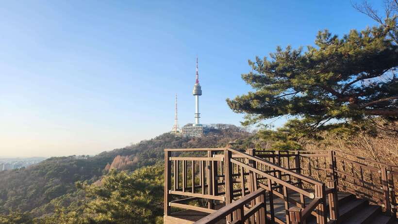 Seoul: Services of a Local for a Day (Paperwork/Tour/Fun) - Using the service for paperwork and translation