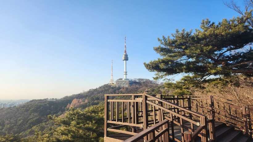 Seoul: Services of a Local for a Day (Paperwork/Tour/Fun) - The guide: Sooyoung Cha