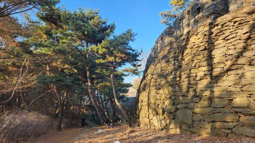 Seoul: Services of a Local for a Day (Paperwork/Tour/Fun) - What the $207 price really buys