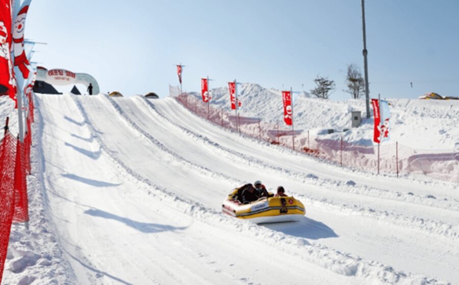 Seoul: SnowyLand in Vivaldi Park with Nami or Alpaca - What this Seoul winter day is really like