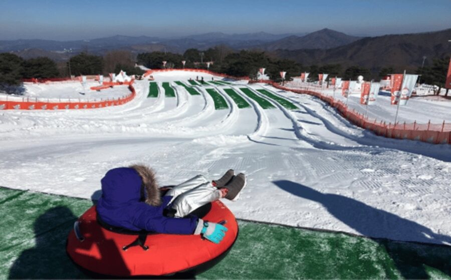Seoul: SnowyLand in Vivaldi Park with Nami or Alpaca - Choosing Nami Island for a calmer second half