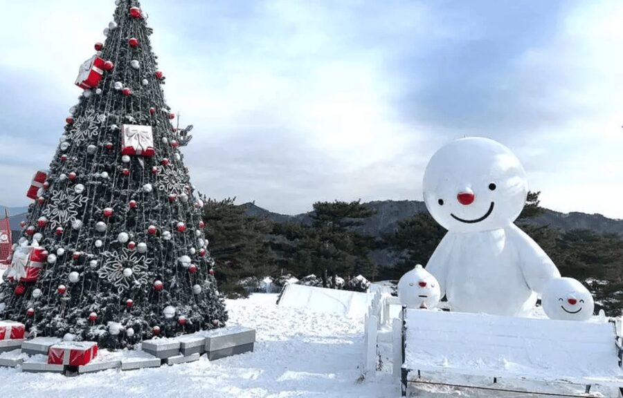 Seoul: SnowyLand in Vivaldi Park with Nami or Alpaca - Alpaca World for families and animal lovers