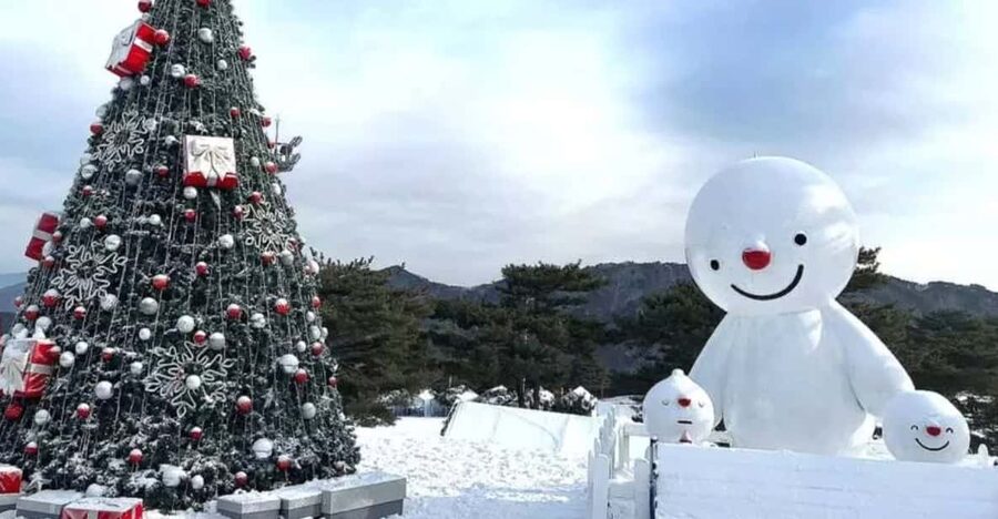 Seoul: SnowyLand in Vivaldi Park with Nami or Alpaca - Lunch is simple, separate, and worth planning