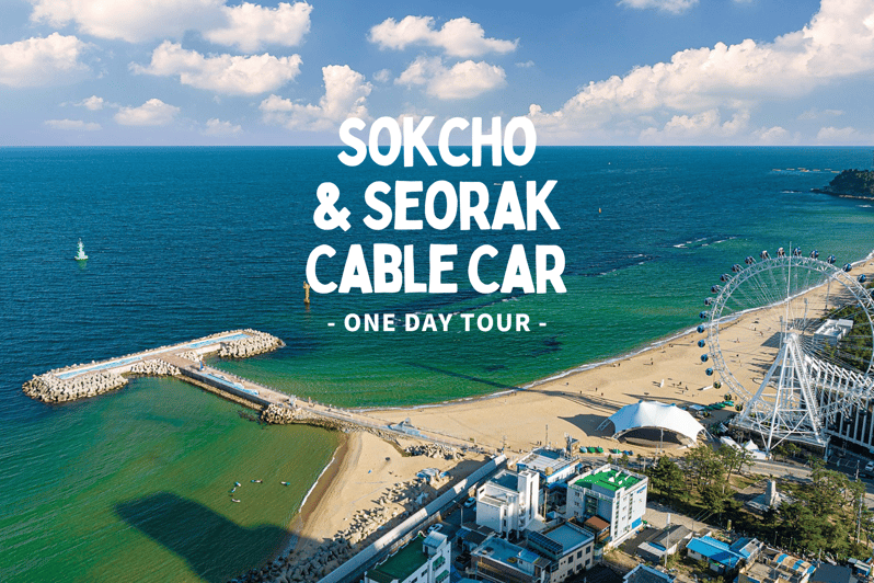 Seoul: Sokcho beach, market, hot spring and Seorak Cable Car - Eating your way through Sokcho Tourist and Fishery Market