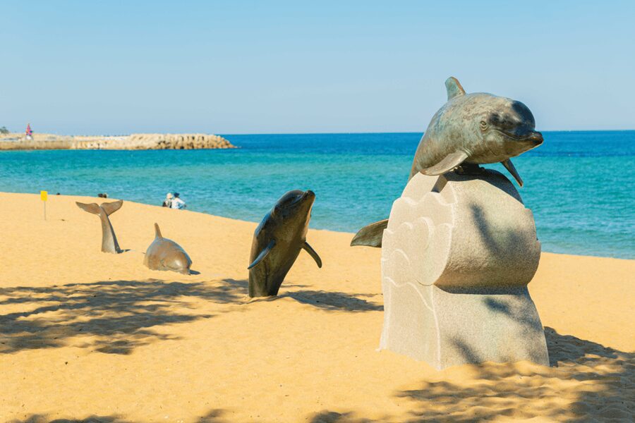 Seoul: Sokcho beach, market, hot spring and Seorak Cable Car - What the guide and transport add