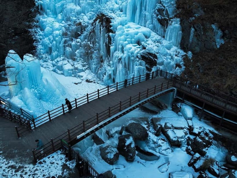 Seoul: Strawberry Picking & Eobi Ice Valley & Nami Island - Nami Island gives you the breathing room