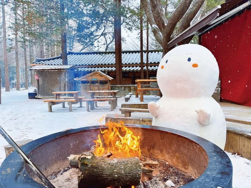 Seoul: Strawberry Picking & Eobi Ice Valley & Nami Island - Snow sledding is a different kind of day