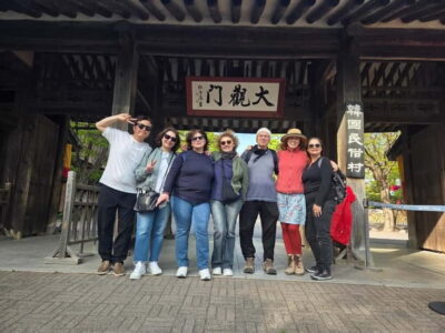 Suwon Hwaseong, Folk Village, & Starfield Library