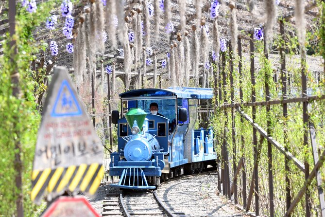 Seoul Vicinity 5 in 1: Nami Island, Garden of Morning Calm & More - Is the $99.05 price good value?