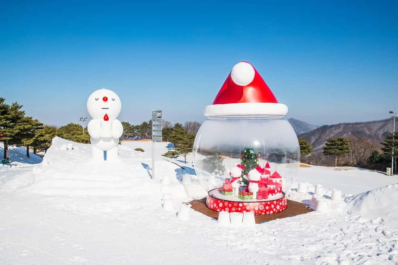 Seoul: Vivaldi Park Winter Ski with Eobi Ice Valley Day Tour - Choosing the right package for your day