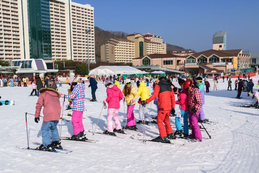 Seoul: Vivaldi Park Winter Ski with Nami Island Day Tour - Should You Book the Vivaldi Park and Nami Island Tour?
