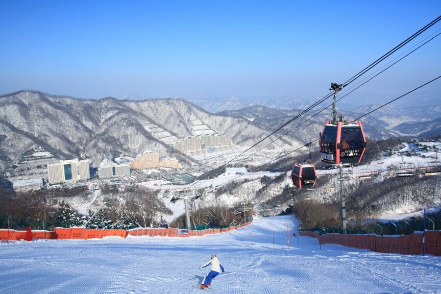 Seoul: Vivaldi Park Winter Ski with Nami Island Day Tour - Why This Seoul Winter Combination Works