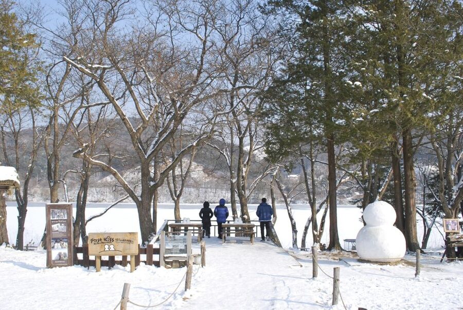 Seoul: Vivaldi Park Winter Ski with Nami Island Day Tour - Four Ways to Use Your Vivaldi Park Time