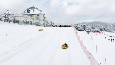 Vivaldi Park Winter Ski with Nami Island Day Tour