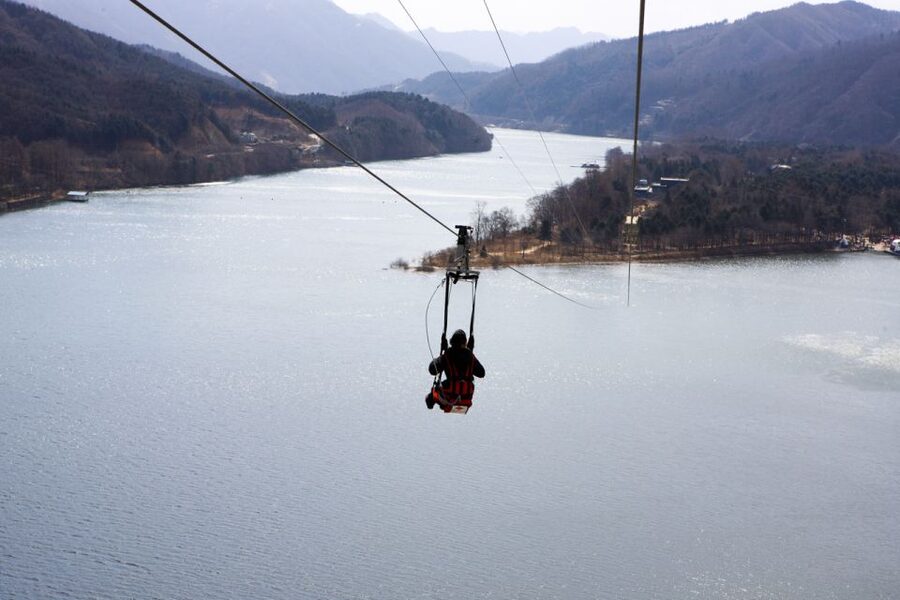 Seoul: Vivaldi Park Winter Ski with Nami Island Day Tour - What the One-Hour Lesson Really Gives You