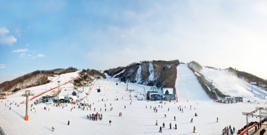 Seoul: Vivaldi Park Winter Ski with Nami Island Day Tour - Snowyland for a Slower Winter Morning