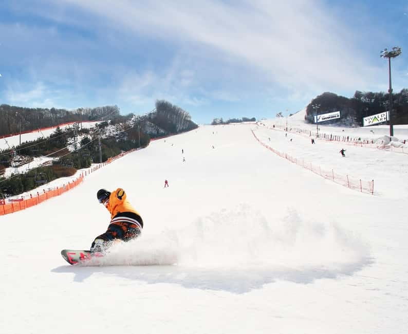 Seoul: Vivaldi Park Winter Ski with Nami Island Day Tour - Moving From Snow to Nami Island