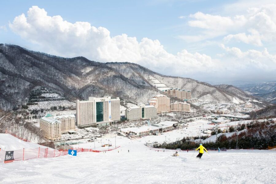 Seoul: Vivaldi Park Winter Ski with Nami Island Day Tour - Timing, Comfort, and Value