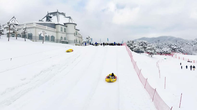 Seoul: Vivaldi Park Winter Ski with Nami Island Day Tour - Starting Early From Central Seoul