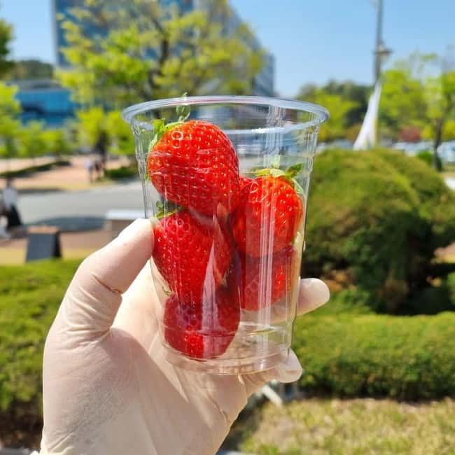 Seoul: Winter Day Tour in Pocheon (+Strawberry Picking) - Key points to know before you book