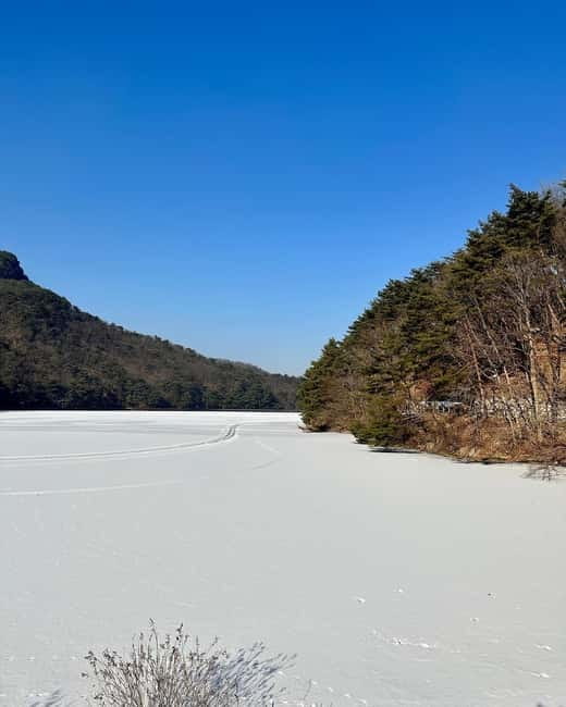 Seoul: Winter Day Tour in Pocheon (+Strawberry Picking) - Why this Pocheon day trip works in winter