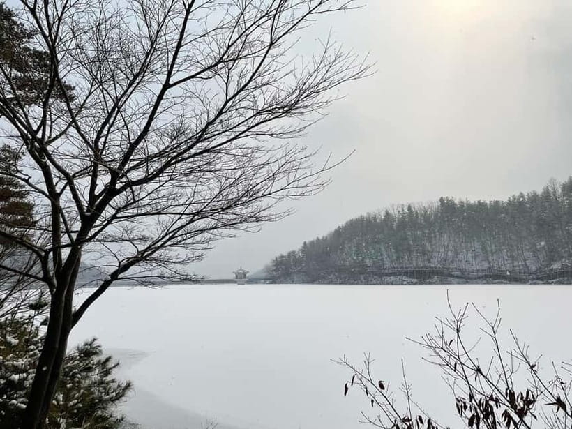 Seoul: Winter Day Tour in Pocheon (+Strawberry Picking) - Dally.On offers a short opening stop