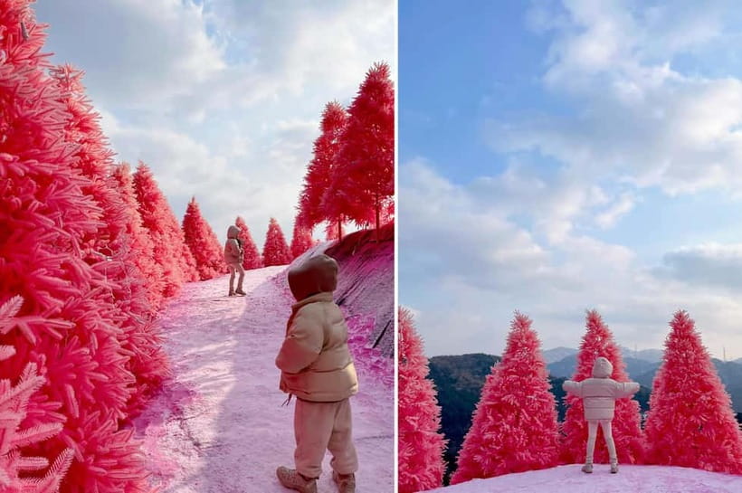 Seoul: Winter Day Tour in Pocheon (+Strawberry Picking) - Herb Island turns the final major stop pink