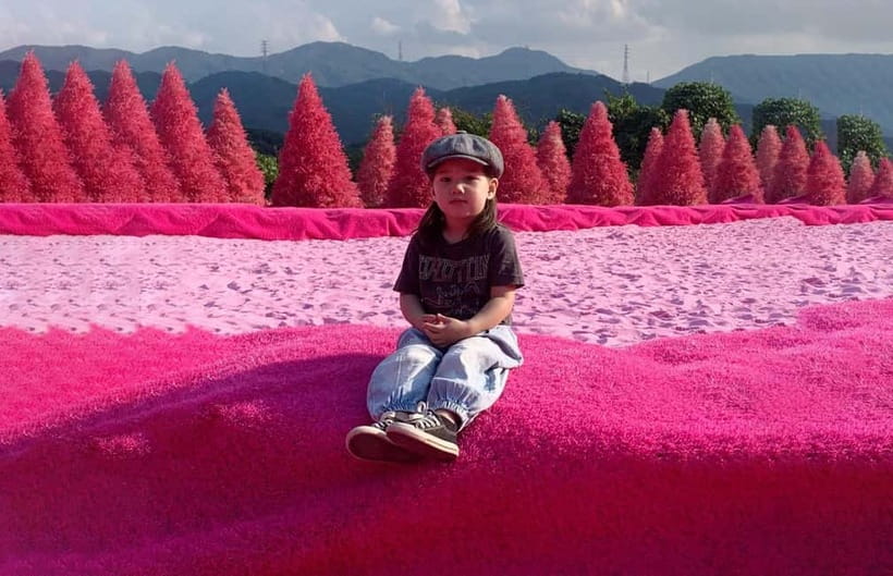 Seoul: Winter Day Tour in Pocheon (+Strawberry Picking) - Guides can shape the whole experience