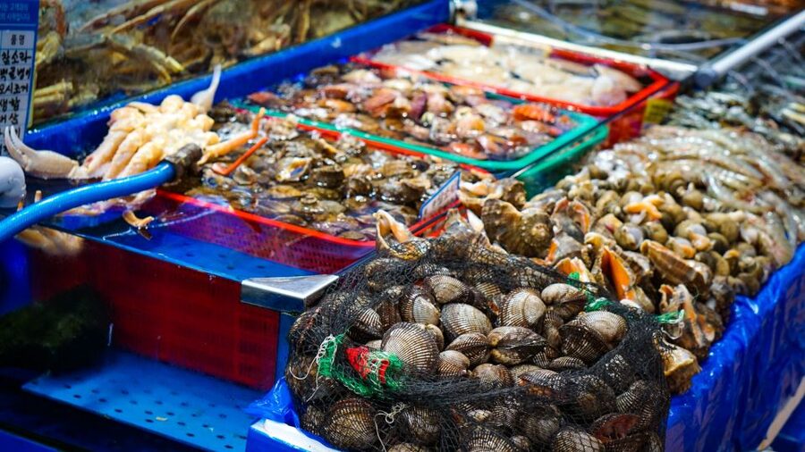 Seoul Your Way: Private Custom Experience with a Local Guide - What the $91 price really covers