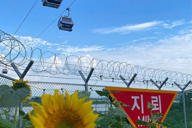 Signature DMZ Tour: Exclusive Defector Talk & Suspension Bridge - The shopping stop and the final return